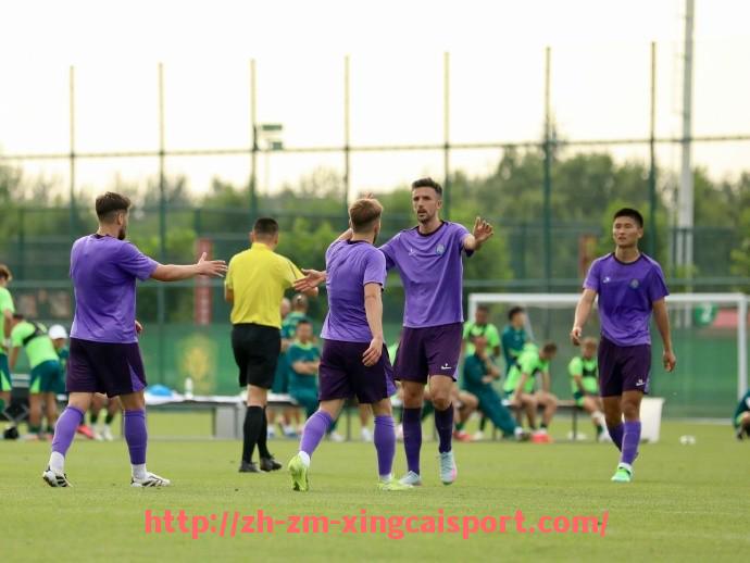 杏彩体育-意甲联赛历史冠军球队及夺冠数据分析