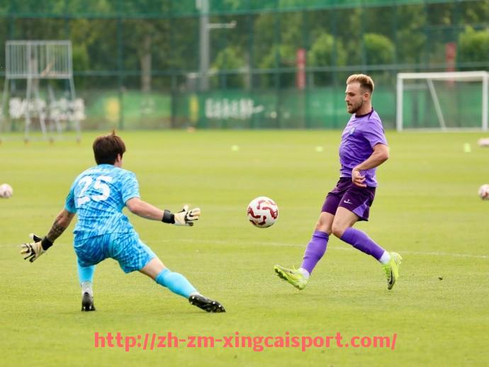 杏彩体育-法甲里昂与法甲其他豪门之间的交锋数据