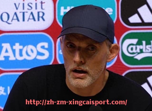 杏彩体育-德甲球队在欧冠赛事中的出局情况分析