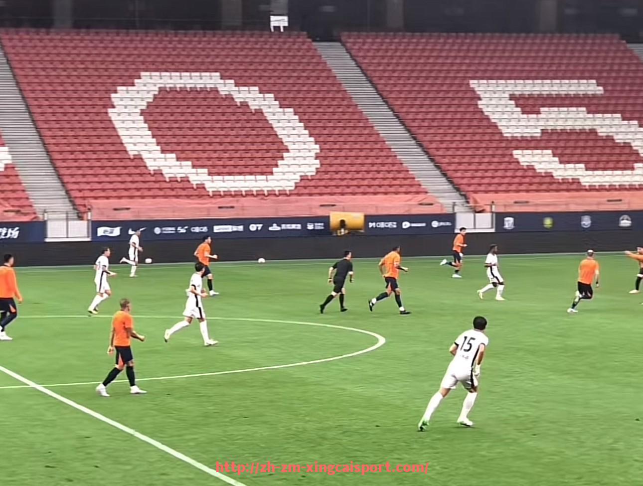 杏彩体育-法甲各大俱乐部市场推广策略及案例分析