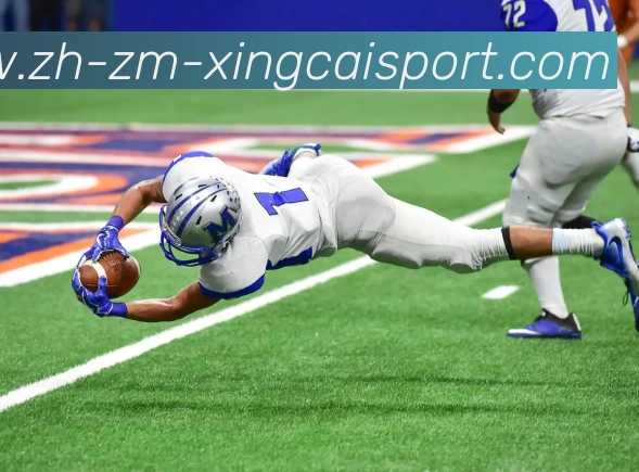 多媒体互动体验