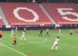 杏彩体育-法甲外援比赛贡献度评估与战术融入表现报告