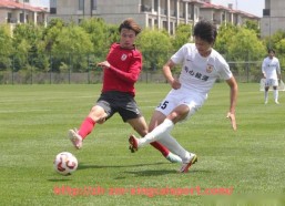 杏彩体育-法甲2025年赛季冠军争夺赛程：法甲2025赛季冠军争夺战的赛程分析