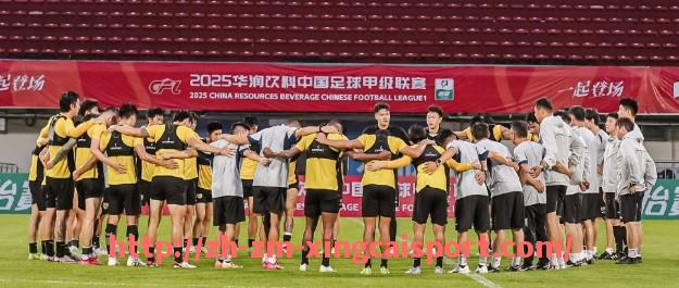 杏彩体育-世俱杯冠军球队各赛季战术与阵容对比研究