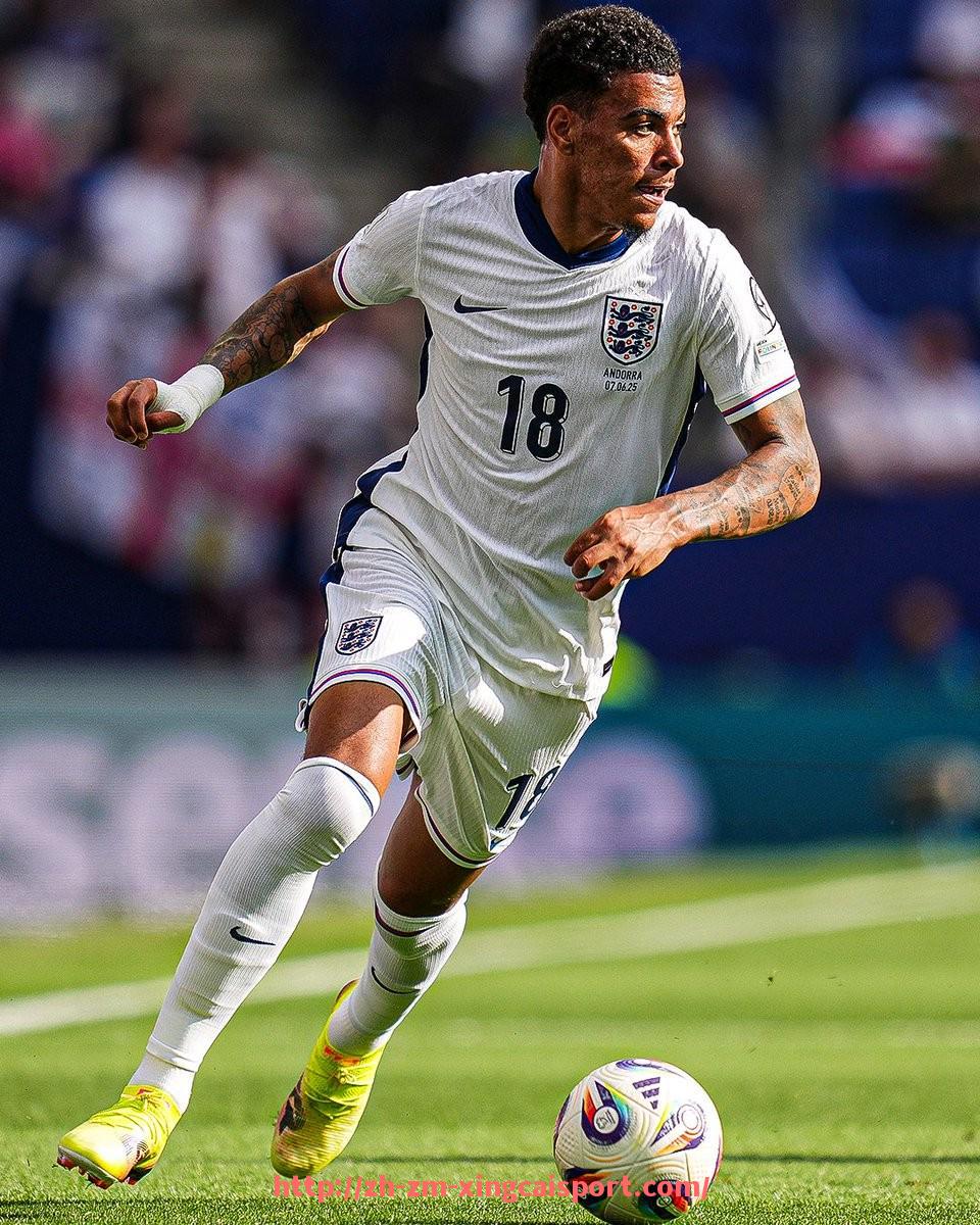 杏彩体育-世俱杯怎么买票最划算？购票平台、折扣与购买建议